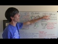 VR6 Engine - Explained