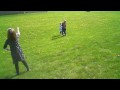 Robert, Sheeley & Josie flying kites (3)