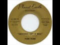 PURE FUNK - NOTHING LEFT IS REAL