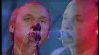 Video Are we in trouble now Mark Knopfler