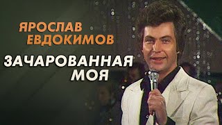 Ярослав Евдокимов - Зачарованная Моя