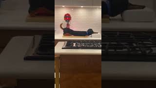 Secret Life Of Pets Of The Leashbuddy Getting That Mage Short Clip