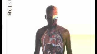 Watch Bahiano Tanto Misterio video