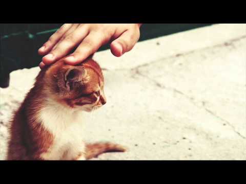 The Panics - Keep An Eye On Me The Panics - Keep An Eye On Me