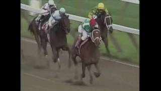 A Tribute To Afleet Alex Me Against The World