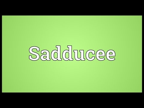Header of Sadducee