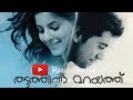 Separation in Love | Thattathin Marayathu  BGM | Nivin Pauly | Vineeth Sreenivasan | Music Junkie