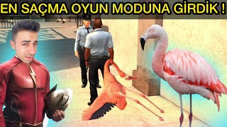 Kurbanlik Flami̇ngo Si̇mülatörü