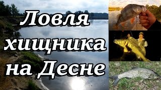 Видео о рыбалке №1864