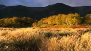 Watch Howard Jones Natural video