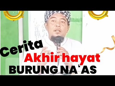 The end of a parrot's life The end of a parrot's life