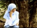 image Film Indie Lfm Universitas Hasanuddin Nayla Mpg