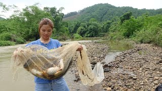 Solo Bushcraft - Hunting Wild Fish, Creating A Net System To Catch Stream Fish, Wild Survival