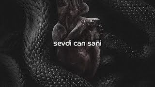 Tünzalə — Sevdi Can Səni (slowed+reverb+lyrics)