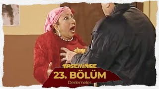 Yasemince Derlemeler 23