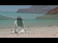 Playas de México - La Paz, Baja California Sur - Isla Espíritu Santo - Turismo Los Cabos