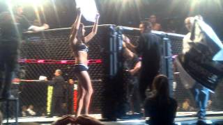 Arianny Celeste Live