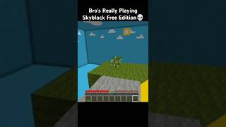 Minecraft Skyblock Free Edition