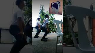 Dog Twerk