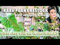 Rare Plant Restock - Plant Shop With Me In Charlotte, NC - Plant Haul