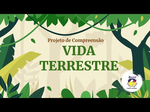 Projeto de Compreensão do 4º anos da Escola Nazaré CG