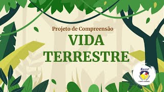 Projeto de Compreensão do 4º anos da Escola Nazaré CG