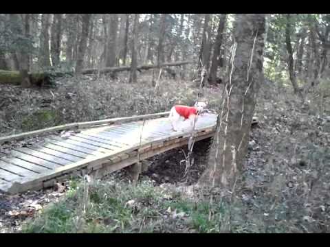 Congaree Backpack Camp Video Congaree Backpack Camp Video