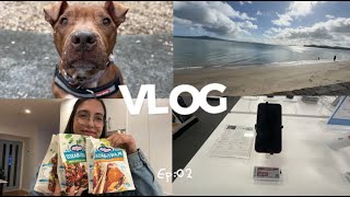 Transformando Minha Vida Antes Dos 30 Ep.02 - Rotina, Procurando Móveis E Parques Na Nova Zelândia