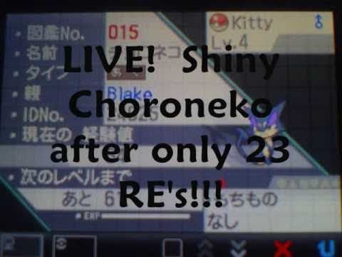 Shiny Choroneko