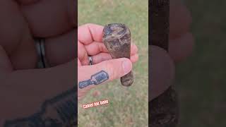 Fossil Camelid Toe Bone From The Ice Age