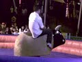 Crazy Bull Banteng Gila images Crazy Bull Banteng Gila
