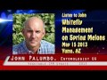 "Whitefly Management on Spring Melons" John Palumbo Yuma AZ 051513