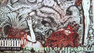 Watch Broken Hope Decimated Genitalia video