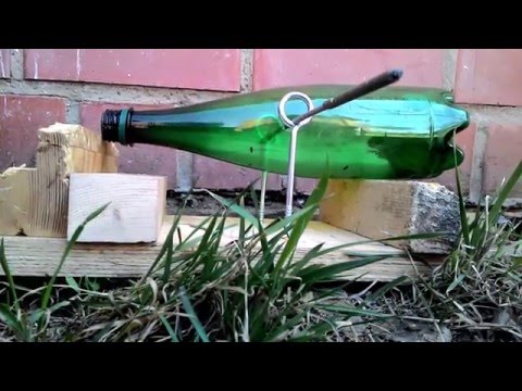 Мышка из бутылки Мышка из бутылки