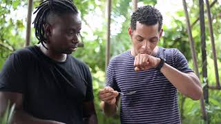 Création de Contenu // Malonga Galanga // Rencontre