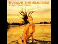 Max Denoise - Sound Of The Dream (Original)