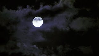 Relaxing Live Sleep Music 24/7: Deep Sleeping Music, Beat Insomnia, Relaxing Music, Sleep Meditation