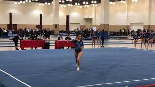 Nina Lattuca - Aerial Gymnastics - L9 Floor 2019 Heart Of A Champion
