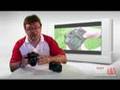 CANON EOS 1000D/Rebel XS and 450D comparison video review
