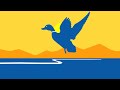 Endangered Species Act 101