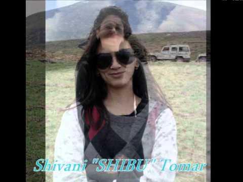 govt. college of b. pharmacy shimla rohru