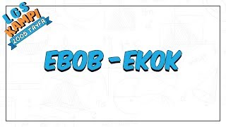Ebob - Ekok | LGS Kampı