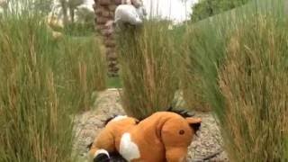 A Class Trip to Riyadh Zoo