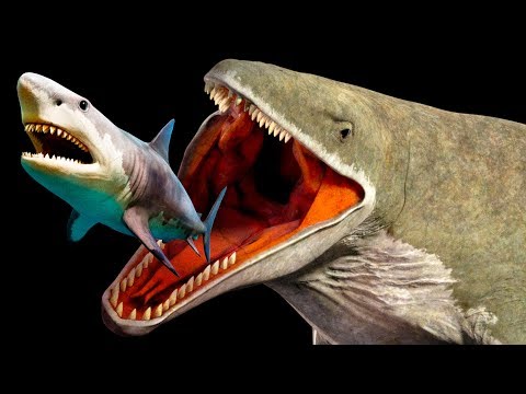 Mariana Trench Creatures That Are Way Scarier Than Megalodon