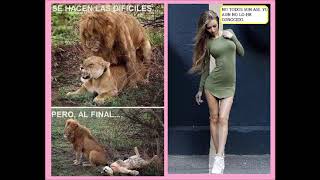 humor imagenes chistosas 261 Alex graciosas y sorprendentes