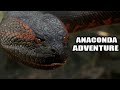 anaconda attack Hollywood movies in hindi full hd