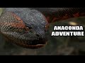 anaconda attack Hollywood movies in hindi full hd anaconda attack Hollywood movies in hindi full hd