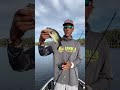 How I fish a soft plastic jerkbait