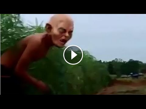 Dọa