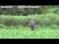 Dọa